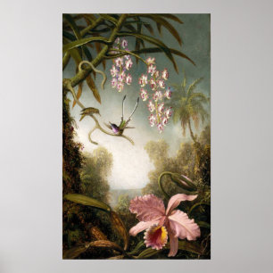 Spray Orchids with Hummingbird Poster