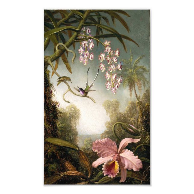 Spray Orchids with Hummingbird Print (Front)