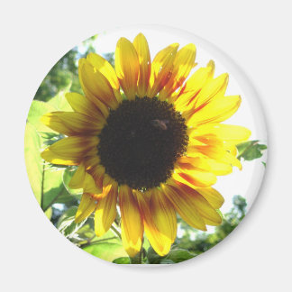 Spread a Little Sunshine!! Magnet