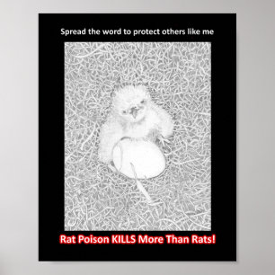 SPREAD THE WORD RAT POISON KILLS HELP WILDLIFE POSTER