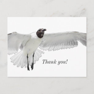 Spread Those Wings PNG Thank You Postcard