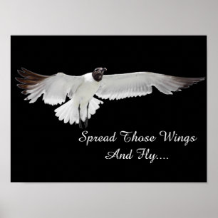 Spread Those Wings Poster
