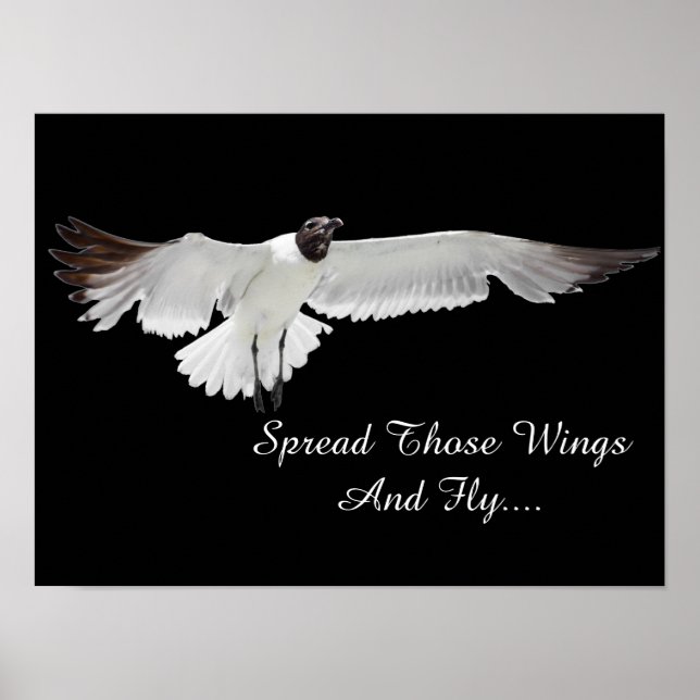 Spread Those Wings Poster (Front)