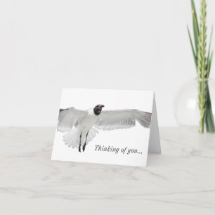 Spread Those Wings Thinking Of You Card
