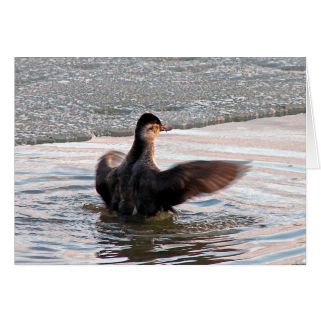 Spread Your Wings (Front Horizontal)