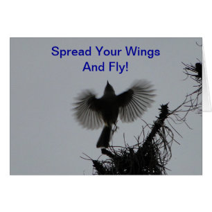 Spread Your Wings And Fly, Tufted Titmouse