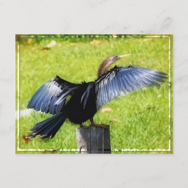 Spread Your Wings Postcard (Front)