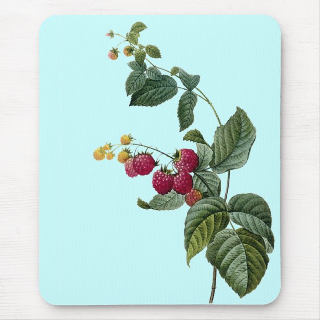 Sprigs of Fruit Mouse Pad (Front)