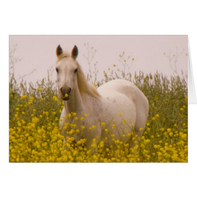 Spring (Front Horizontal)