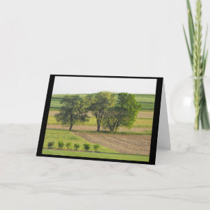 Spring 16 ~ '10 ~ holiday card