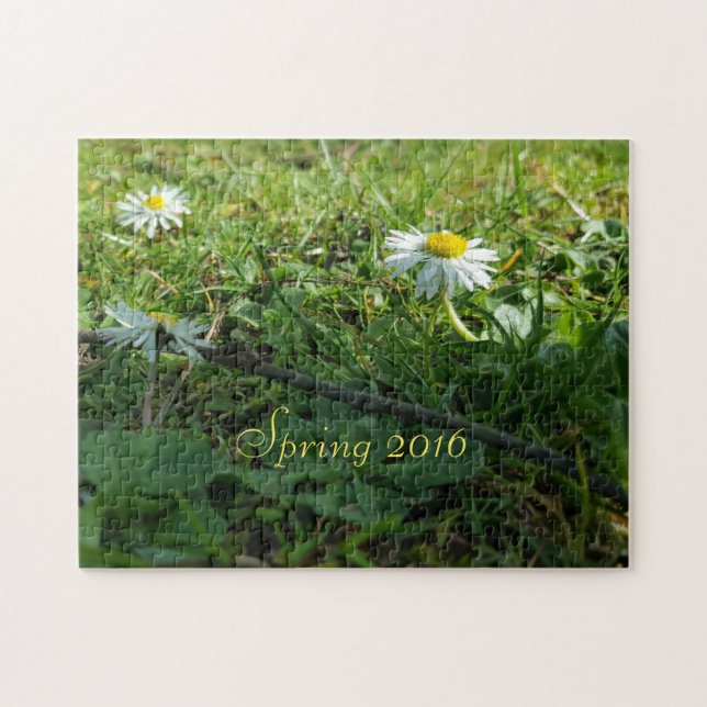 Spring 2016, Daisy Flowers Jigsaw Puzzle (Horizontal)