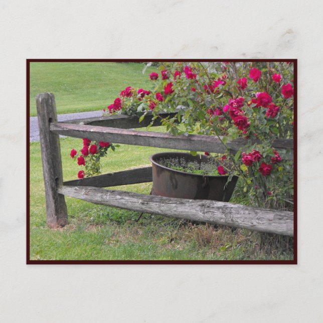 ~ Spring 41 ~ Postcard (Front)