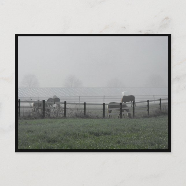 ~ Spring 79 ~ Postcard (Front)