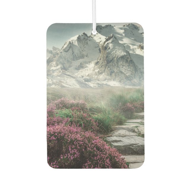 Spring and Winter Car Air Freshener (Front)