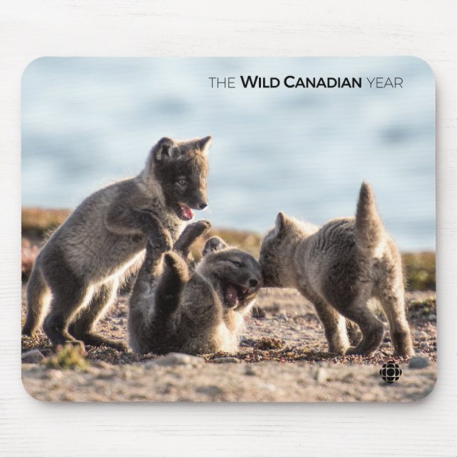 Spring - Arctic Fox Mouse Pad (Front)