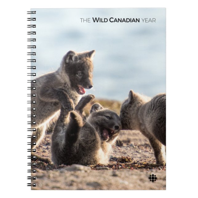 Spring - Arctic Fox Notebook (Front)