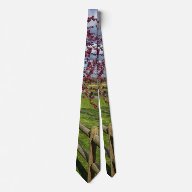 Spring At Rivercut Neck Tie (Front)