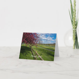 Spring At Rivercut Thank You Card