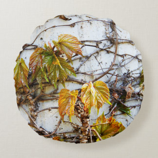 Spring at the Arboretum 5 Round Cushion