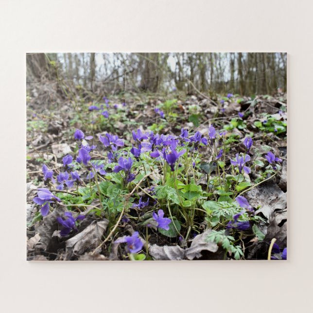Spring awakening , forest flowers , March violets Jigsaw Puzzle (Horizontal)