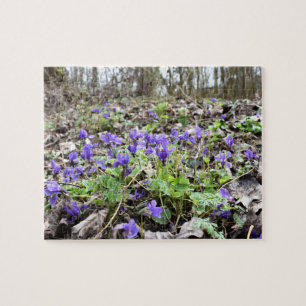 Spring awakening , forest flowers , March violets Jigsaw Puzzle