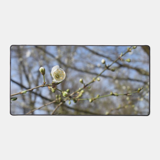 Spring awakening , wild cherry bloom card desk mat (Front)