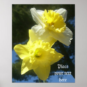 Spring beautiful daffodils customisable poster