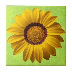 Spring beautiful yellow flower on abstract green ceramic tile