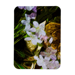 Spring Beauty a Purple Wildflower Abstract Magnet