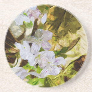 Spring Beauty a Wildflower Abstract Impressionism Coaster