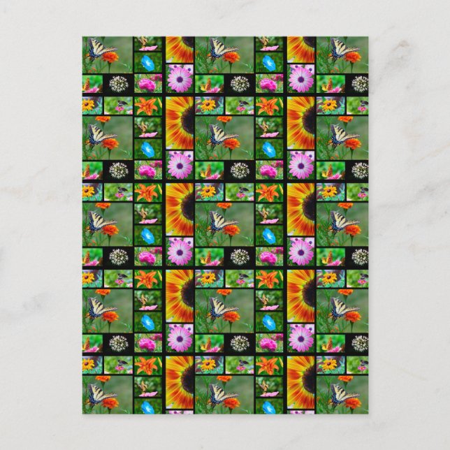 Spring Beauty Collage Postcard (Front)