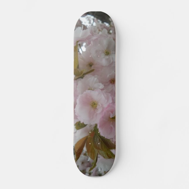 Spring Beauty Skateboards (Front)