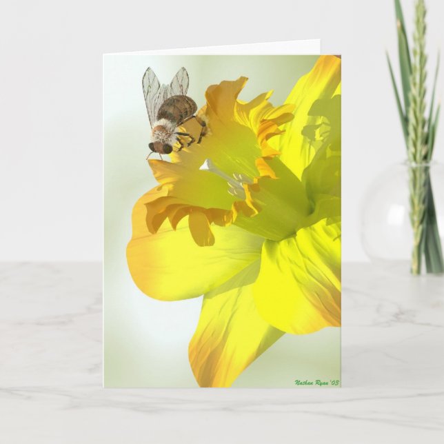 Spring Bee Card (Front)