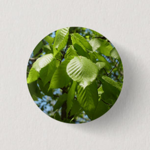 Spring Birch Leaves Green Tree 3 Cm Round Badge