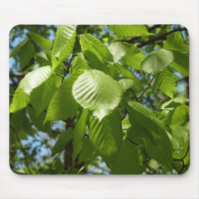 Spring Birch Leaves Green Tree Mouse Pad (Front)
