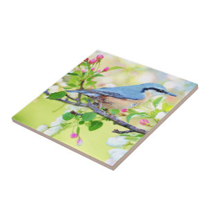Spring Bird - Beautiful Ceramic Tile