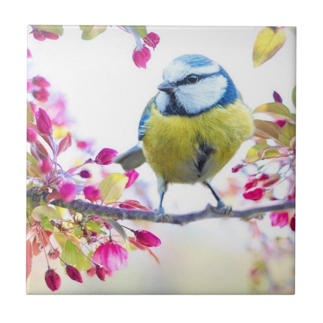 Spring Bird Ceramic Tile (Front)