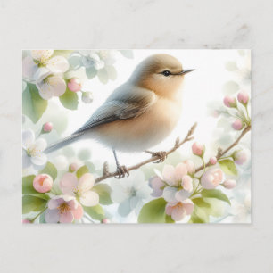 Spring Bird Cherry Blossom Floral Watercolor Announcement Postcard