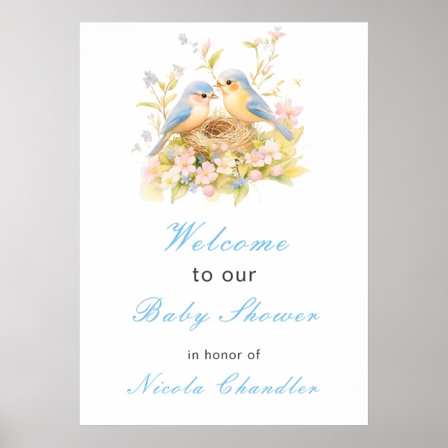 Spring Birds Baby Shower Poster (Front)