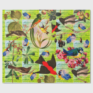 SPRING BIRDS,FEATHERS,FRUITS Music Notes Green Wrapping Paper