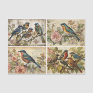 Spring Birds Tissue Paper