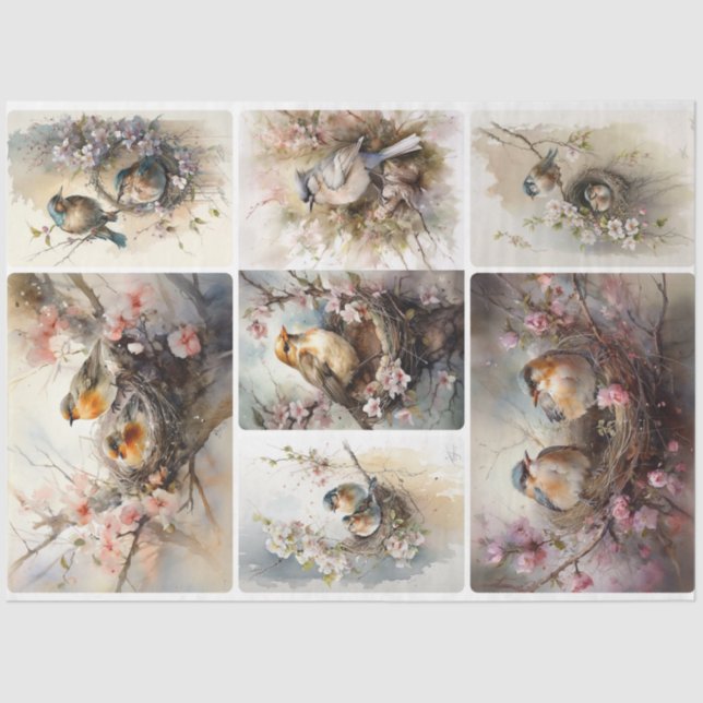 Spring Birds  Tissue Paper (Front)