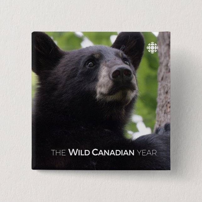 Spring - Black Bear 15 Cm Square Badge (Front)