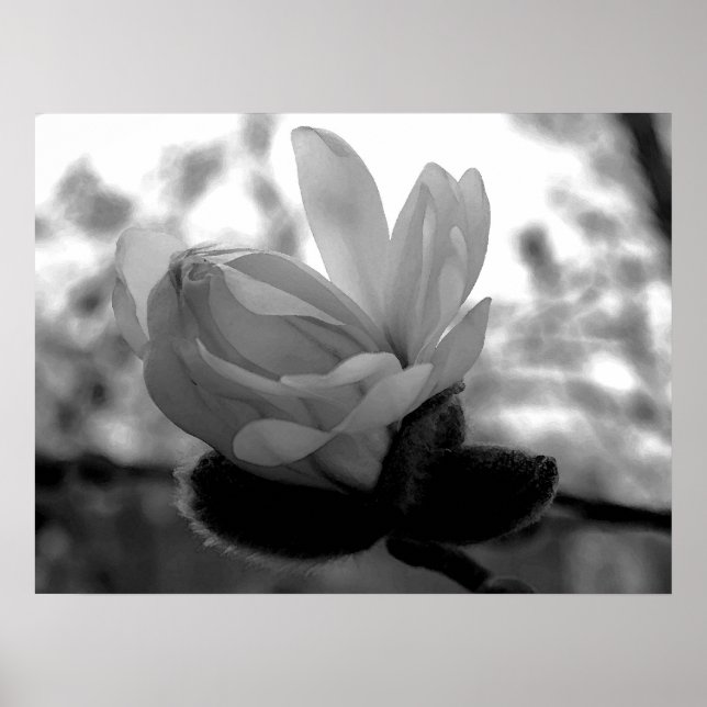 Spring Bloom Print (Front)