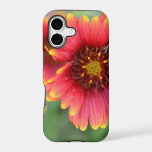 Spring Bloom Pt 2