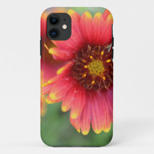 Spring Bloom Pt 2 iPhone 11 Case