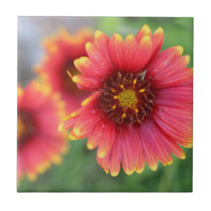 Spring Bloom Pt 2 Tile