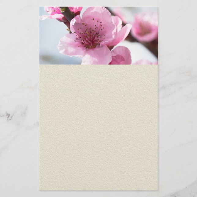 Spring blooming flyer (Front)