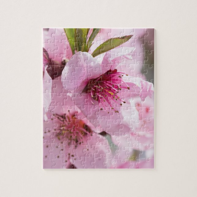 Spring blooming jigsaw puzzle (Vertical)