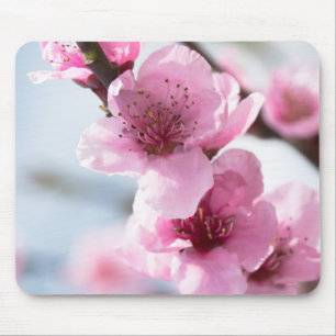 Spring blooming mouse pad